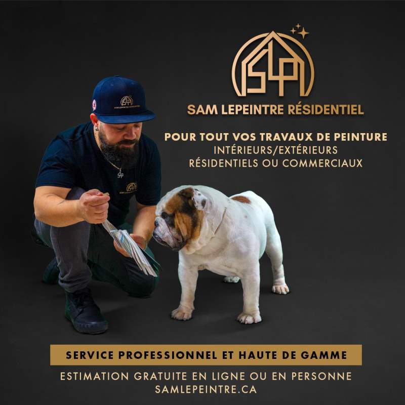 Sam le Peintre peinture de qualité à Montréal